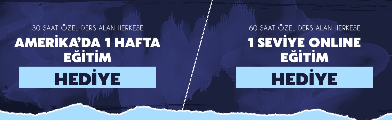 Amerika Online 1350x415 1
